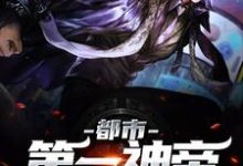 小说《都市第一神帝》在线章节阅读-经典文学