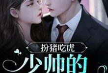 林晚音君南辰小说《扮猪吃虎!少帅的暖床娇妻》在线阅读-经典文学