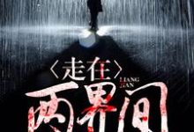 《走在两界间》小说章节列表免费试读，陈岩林嫣儿杨灵君小说在线阅读-经典文学