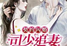 主角叫司墨离凉念禾的小说在哪阅读-经典文学