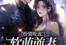 扮猪吃虎！软萌前妻拿捏他小说全文阅读需要付费吗？寻找免费资源-经典文学