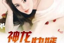 神龙快婿向兴生简欣艳,神龙快婿最新章节-经典文学