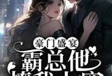 豪门盛宴:霸总他撩我上瘾苏停云沈阅川在线章节免费阅读-经典文学