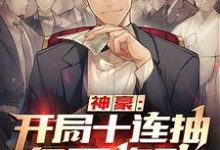 小说《神豪:开局十连抽亿万奖励》在线章节阅读-经典文学