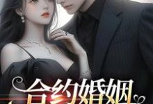 叶子七陈一心小说叫什么(合约婚姻:大佬恋上她免费阅读)-经典文学