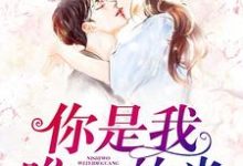 你是我唯一的光小说最新章节在哪里可以读到？-经典文学