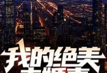 我的绝美未婚妻免费阅读，我的绝美未婚妻章节目录-经典文学