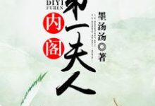 内阁第一夫人免费阅读,内阁第一夫人章节目录-经典文学