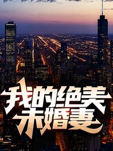 免费在线阅读我的绝美未婚妻小说的正规网站有哪些？