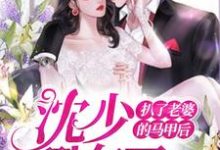 扒了老婆的马甲后，沈少翻车了主角顾暖卿沈煜庭小说完结版章节在线阅读-经典文学