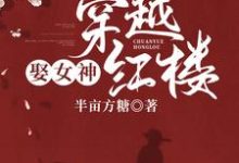 穿越红楼娶女神小说，穿越红楼娶女神在线阅读-经典文学