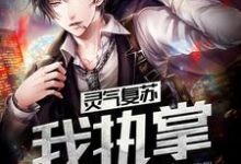 求吴殇白灵灵妖姬鬼王阴司小说免费资源-经典文学