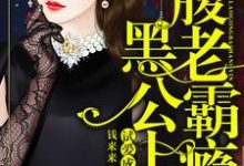 试爱成婚：腹黑老公霸上瘾小说无弹窗阅读的网站推荐-经典文学