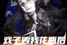 戏子毁我花瓶后,被我索赔二十亿这本小说在哪里可以看?哪里有免费试读章节?-经典文学