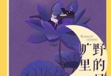安夷沈韫安夏沈旭东小说叫什么(旷野里的星免费阅读)-经典文学