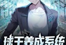 主角叫苏魏小说球王养成系统:我吊打梅西章节免费阅读-经典文学