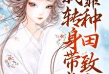 《穿成寡妇?我转身带崽靠种田致富》小说章节列表免费试读,赵婉馨小说在线阅读-经典文学