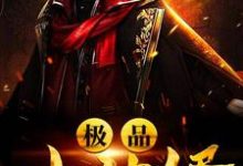 叶天陈雅丽小说在哪里可以看-经典文学