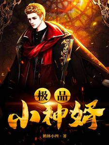 叶天陈雅丽小说在哪里可以看