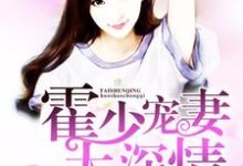 小说《霍少宠妻太深情》章节阅读-经典文学
