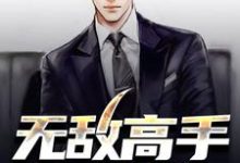 完结版《无敌高手在都市》章节阅读-经典文学