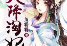 小说《天降淘妃：战神王爷太凶猛》章节阅读-经典文学