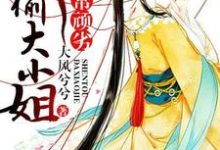 主角叫郁丹青孤光启阮芷段沉渊小说妃常顽劣:神偷大小姐章节免费阅读-经典文学