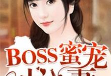 小说《BOSS蜜宠小小妻》章节免费阅读-经典文学