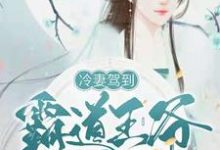 《冷妻驾到，霸道王爷奈我何》小说章节列表免费试读，柳蕙若梁晗昱小说在线阅读-经典文学