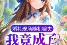 哪里可以免费读到宁蘅傅瑾州的完整故事?寻找婚礼现场随机嫁夫,我竟成了总统夫人?-经典文学