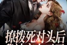小说《撩拨死对头后,我被宠上天了》在线章节阅读-经典文学