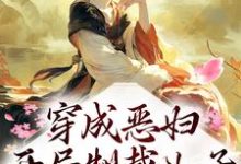 完结版《穿成恶妇，开局制裁儿子》章节阅读-经典文学