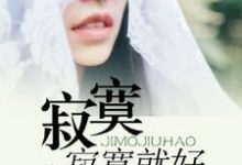 哪里能找到寂寞寂寞就好小说的最新更新和免费章节？-经典文学