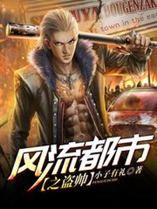 风流都市之盗帅魏羡林清雨叶北辰丁灵小说在线章节免费阅读