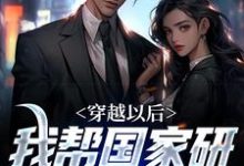 叶凡林朵朵小说《穿越以后，我帮国家研究北斗导航》在线阅读-经典文学