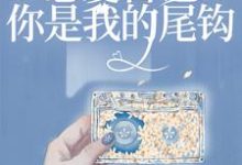 《恋爱日记：你是我的尾钩》小说主角宋懿沈栖迟章节章节免费在线阅读-经典文学