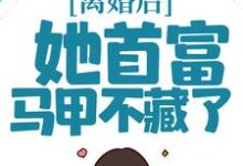 主角叫秦酒薄司年小说离婚后，她首富马甲不藏了章节免费阅读-经典文学