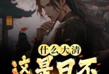 小说《什么大清,这是日不落大明》章节免费阅读-经典文学