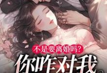 不是要离婚吗？你咋对我死缠烂打小说的无弹窗阅读体验，寻找免费阅读网站-经典文学