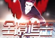 主角叫颜风虞冰的小说在哪阅读-经典文学