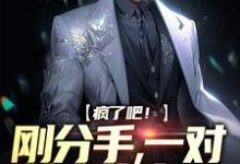 小说《疯了吧！刚分手，一对萌宝找上门》章节阅读-经典文学