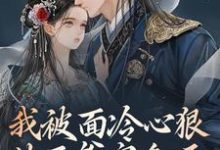 小说《我被面冷心狠的王爷宠翻天》在线章节阅读-经典文学