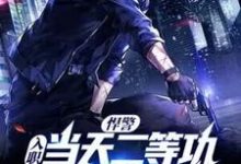 悍警:入职当天二等功,你管这叫实习生?小说全文哪里可以免费看?-经典文学