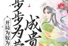 陈皎霍翱小说叫什么（开局为奴为婢，步步为营成贵妃免费阅读）-经典文学