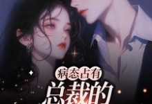 病态占有:总裁的私有宝贝云渺陆聿骁在线章节免费阅读-经典文学