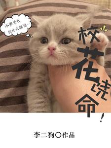 校花饶命徐小北阮秋水徐小南小说在线章节目录阅读最新章节
