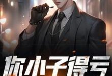 想读安逸秦柔的故事，哪里可以免费找到你小子得亏娶了警花？-经典文学