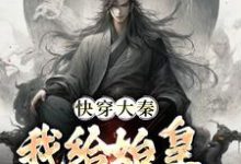 快穿大秦：我给始皇当左相小说最新更新在哪里？免费在线看-经典文学