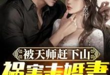 已完结小说《被天师赶下山，祸害未婚妻》章节在线阅读-经典文学