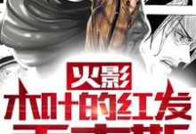 火影:木叶的红发香克斯香克斯鸣人小说在线章节免费阅读-经典文学
